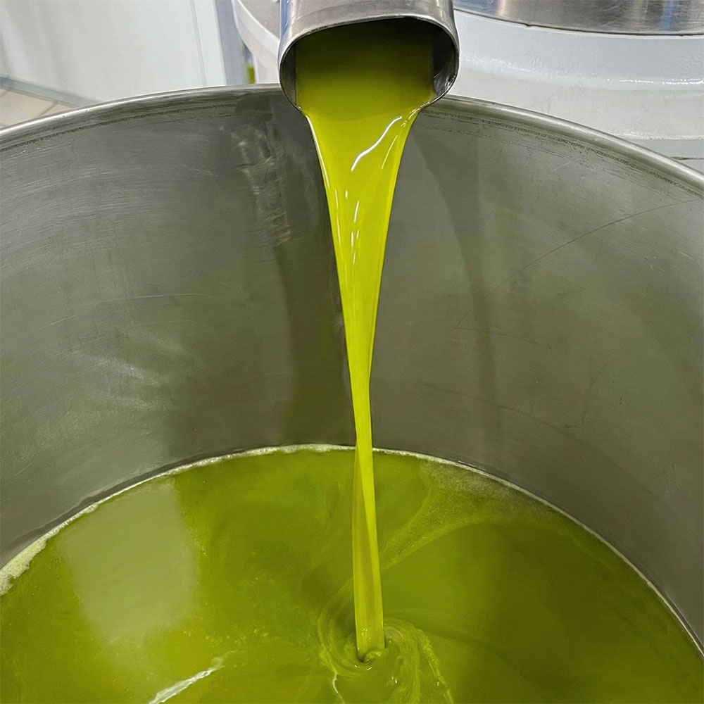 olive6